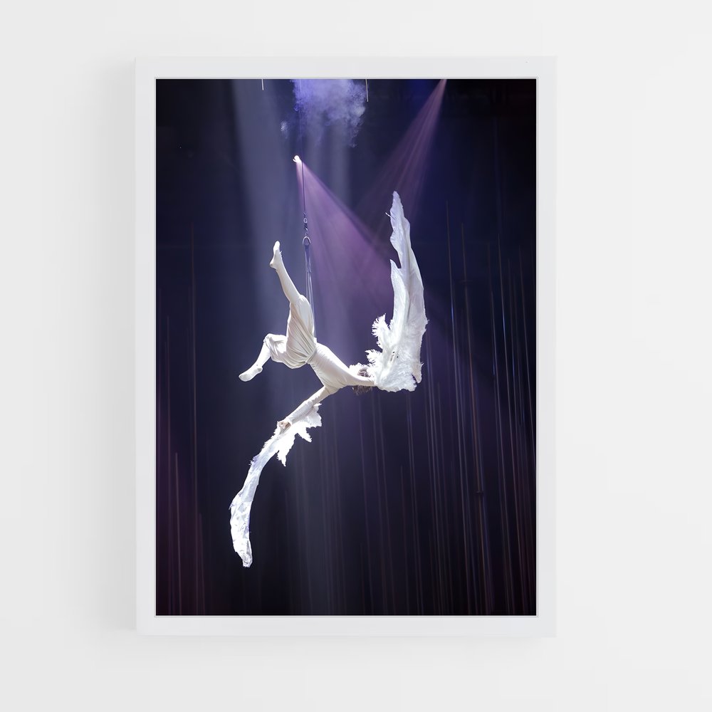 Poster Cirque soleil (vue 3)
